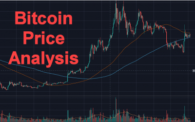 Bitcoin “Rich List” & Price Analysis